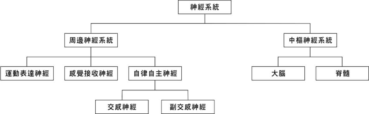 帶狀疱疹治療